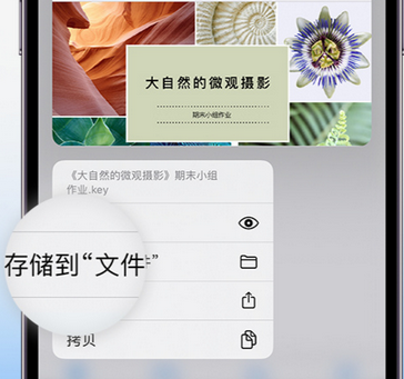 永清apple维修中心分享iPhone文件应用中存储和找到下载文件