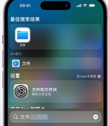 永清apple维修中心分享iPhone文件应用中存储和找到下载文件