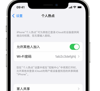 永清apple服务站点分享iPhone上个人热点丢失了怎么办 