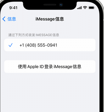 永清apple维修iPhone上无法正常发送iMessage信息 