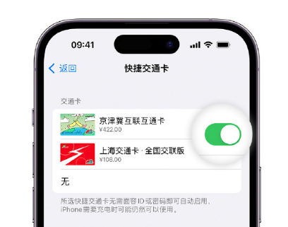 永清apple维修点分享iPhone上更换Apple Pay快捷交通卡手绘卡面 