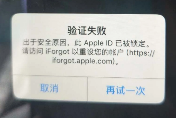 永清iPhone维修分享iPhone上正常登录或使用AppleID怎么办 