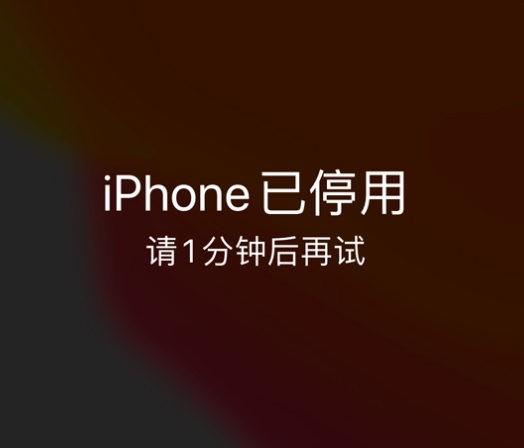 永清苹果手机维修分享:iPhone 显示“不可用”或“已停用”怎么办？还能保留数据吗？ 