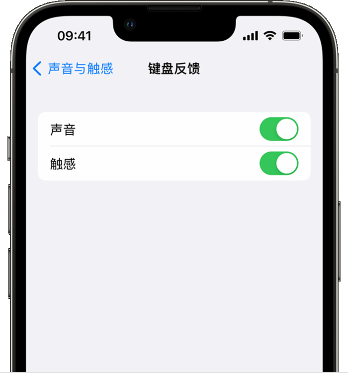 永清苹果14维修店分享如何在 iPhone 14 机型中使用触感键盘 