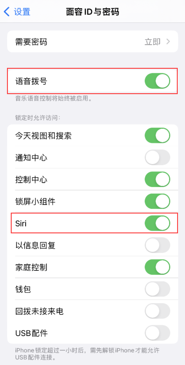 永清苹果维修网点分享不解锁 iPhone 的情况下通过 Siri 拨打电话的方法 