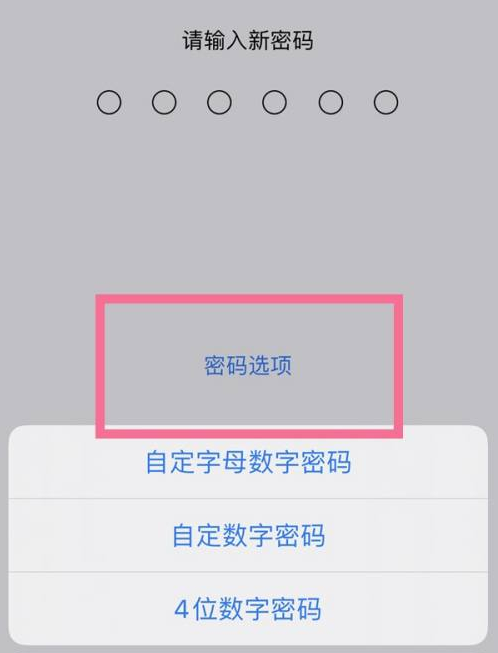 永清苹果14维修分享iPhone 14plus设置密码的方法 