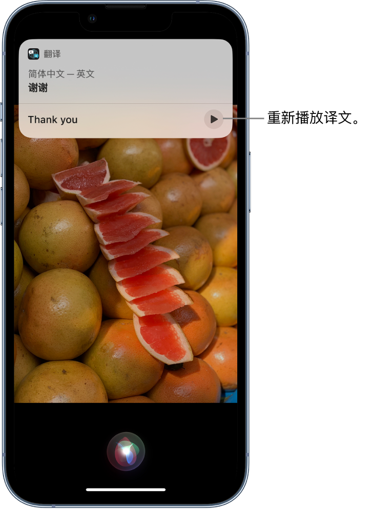 永清苹果14维修分享 iPhone 14 机型中使用 Siri：了解 Siri 能帮你做什么 