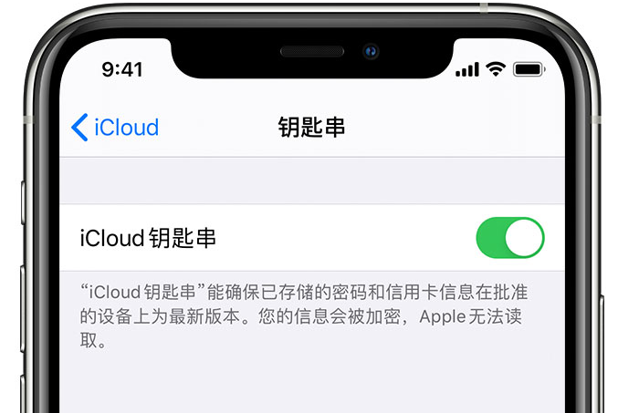 永清苹果手机维修分享在 iPhone 上开启 iCloud 钥匙串之后会储存哪些信息 