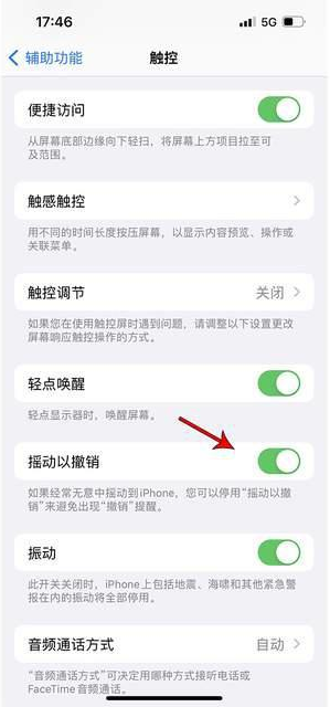 永清苹果手机维修分享iPhone手机如何设置摇一摇删除文字 