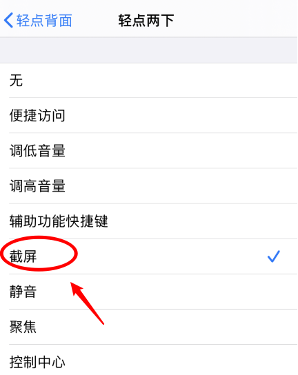 永清苹果手机维修分享iPhone12如何启用双击截屏 